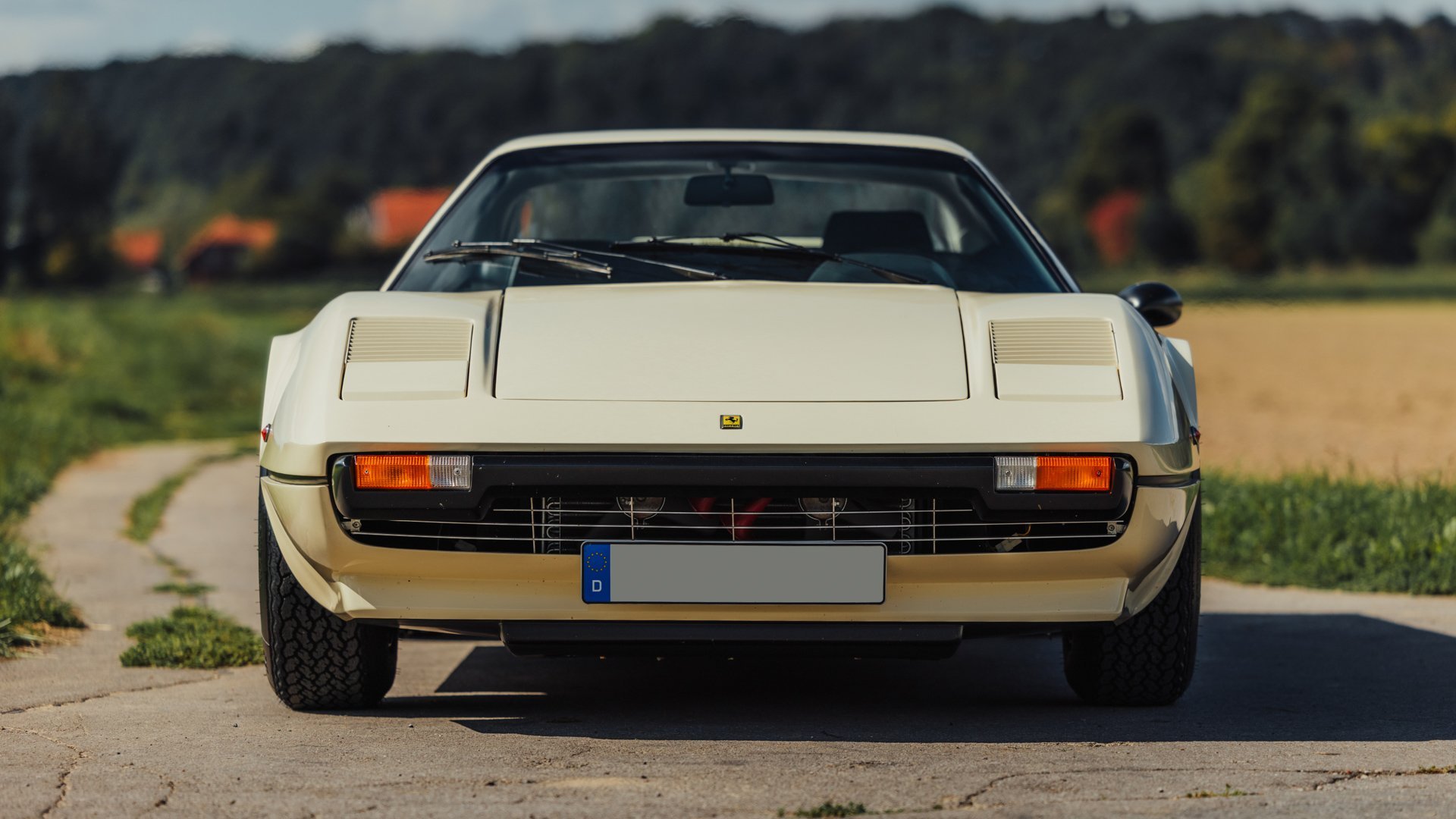 1976 Ferrari 308, foto 6