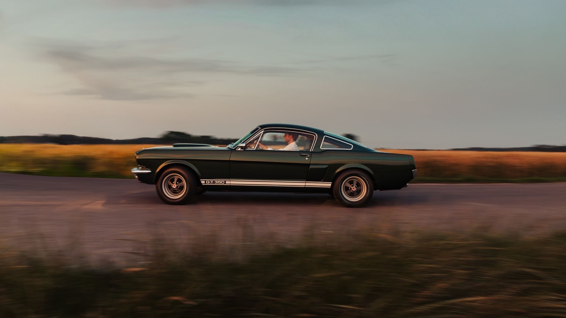 1966 Shelby GT 350, foto 3