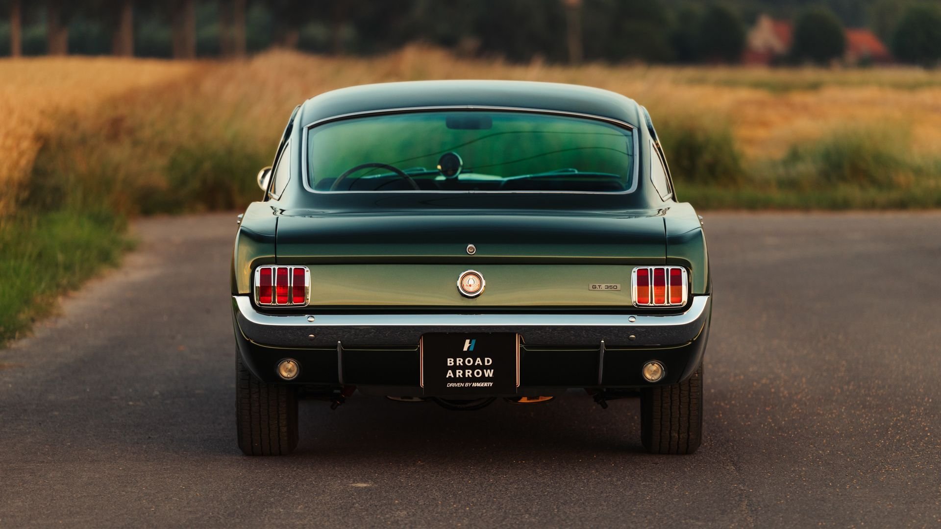 1966 Shelby GT 350, foto 7