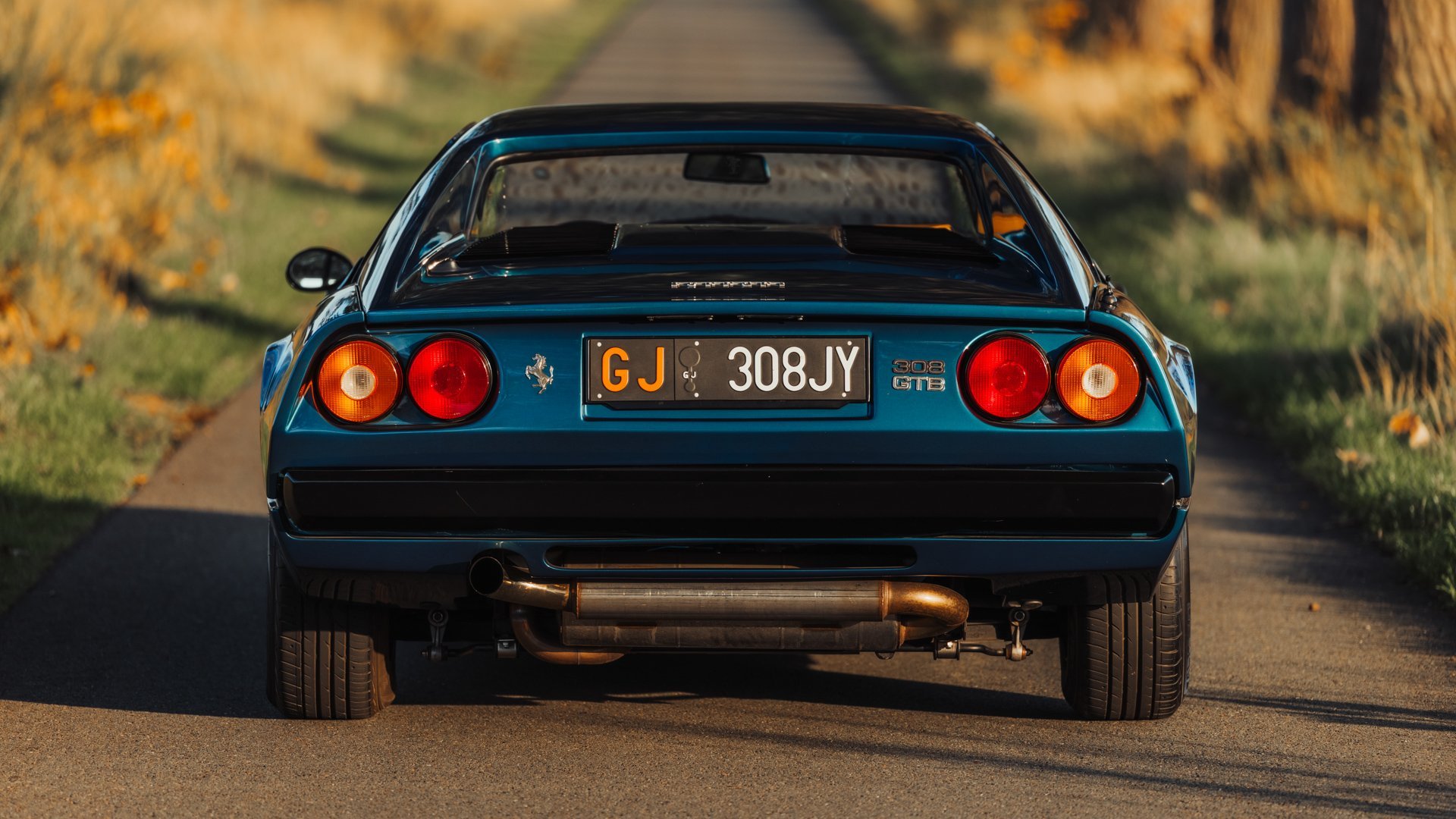 1979 Ferrari 308, foto 4