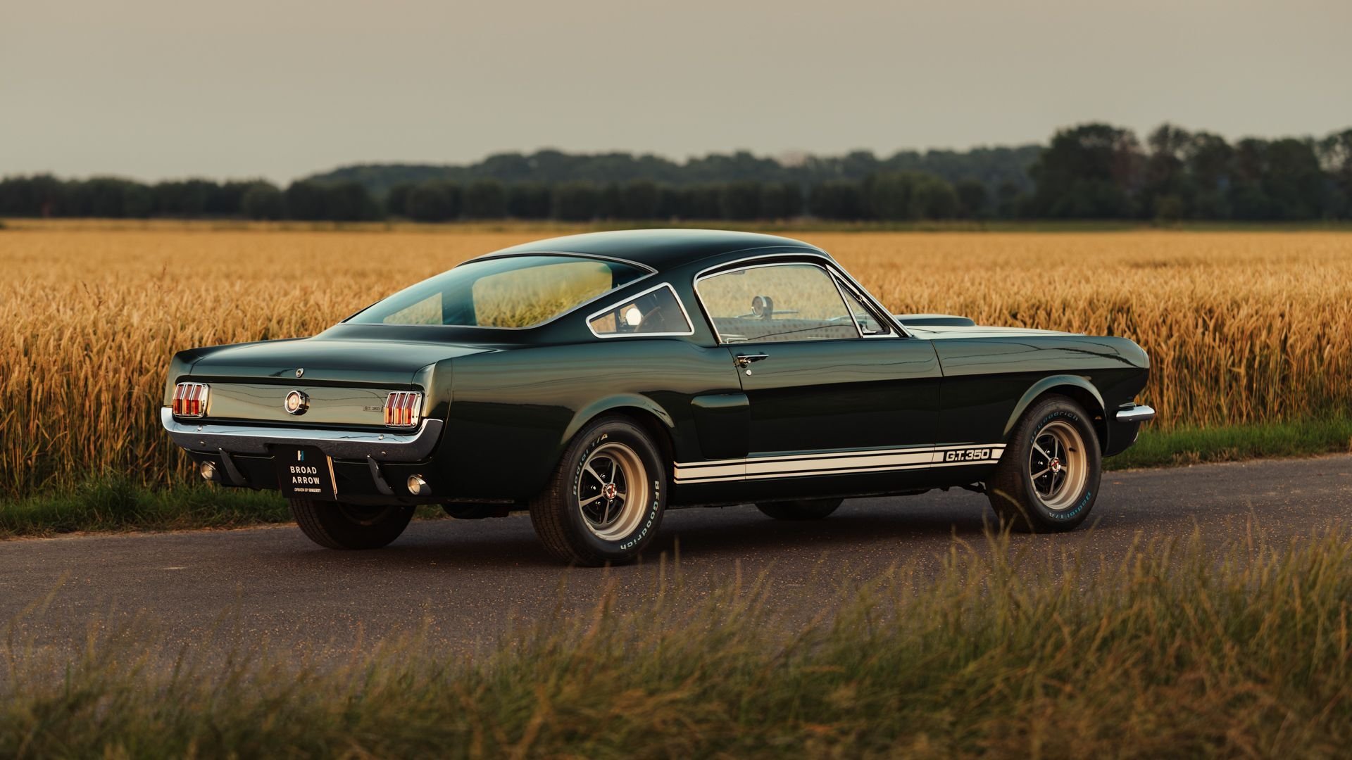 1966 Shelby GT 350, foto 4