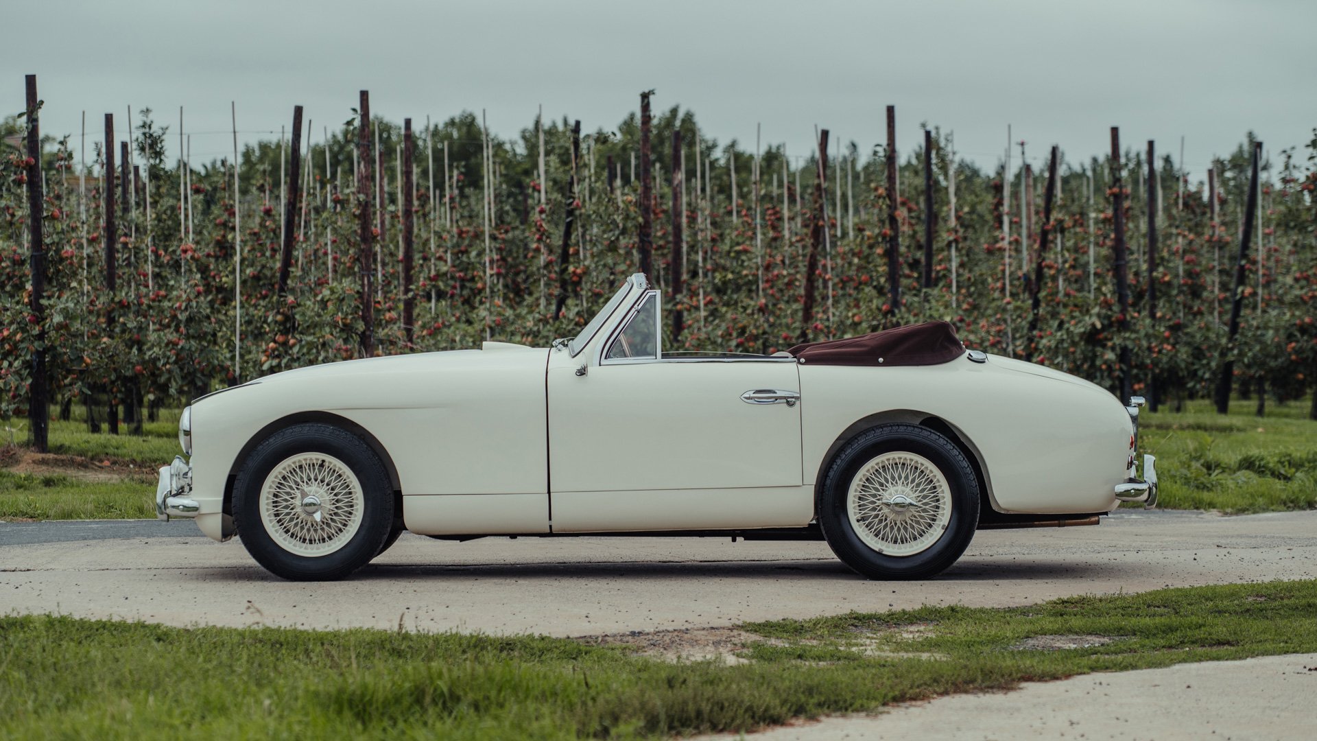 1954 Aston Martin DB2/4, foto 4