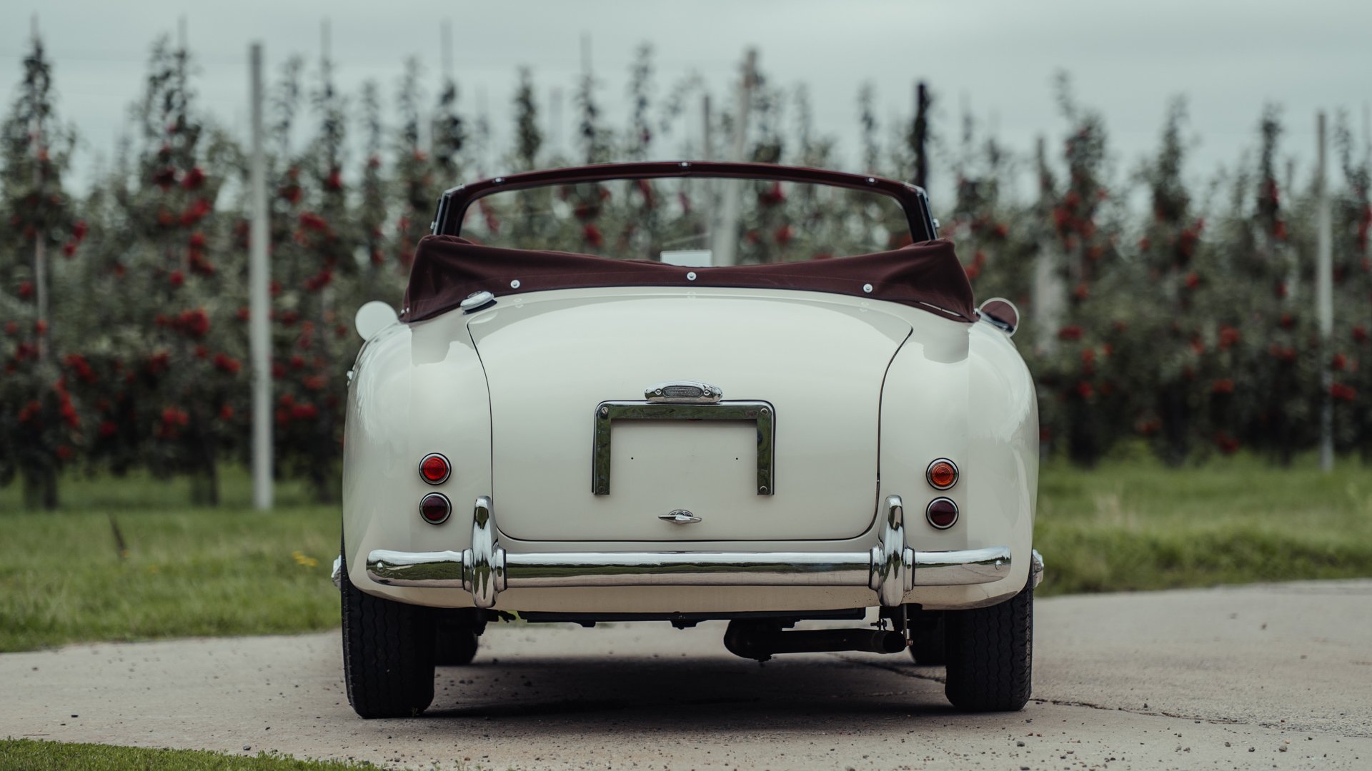 1954 Aston Martin DB2/4, foto 6
