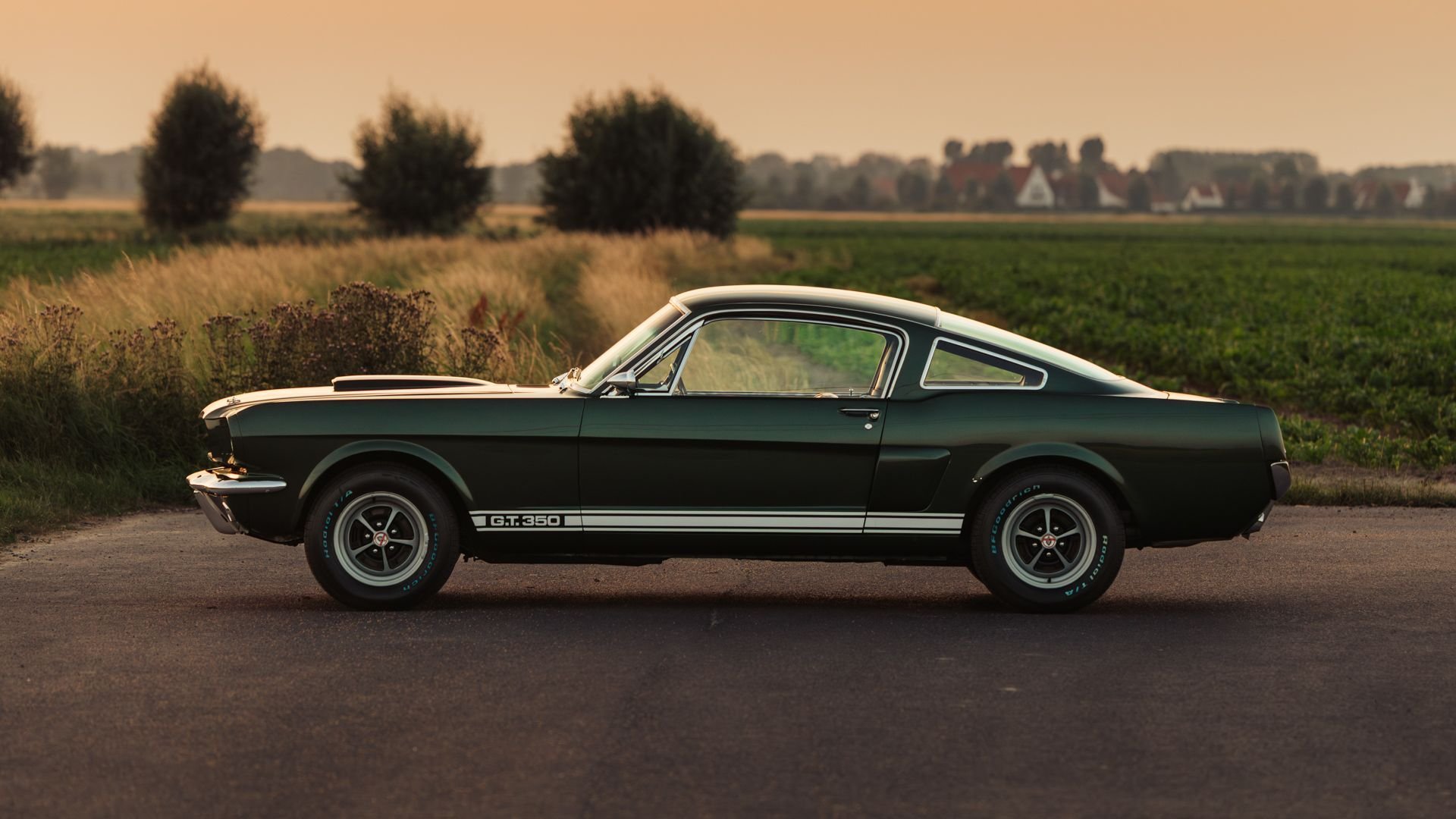 1966 Shelby GT 350, foto 5