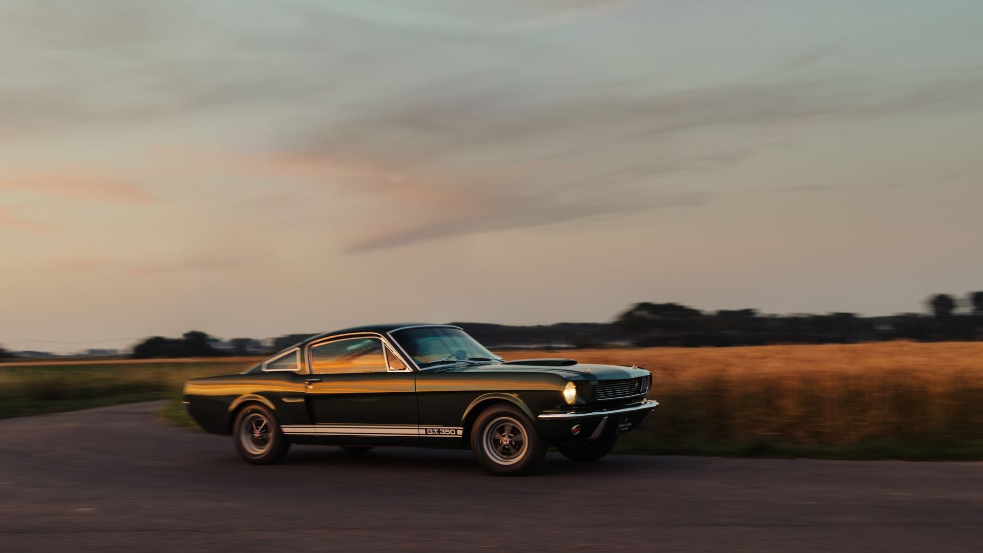 1966 Shelby GT 350, foto 10