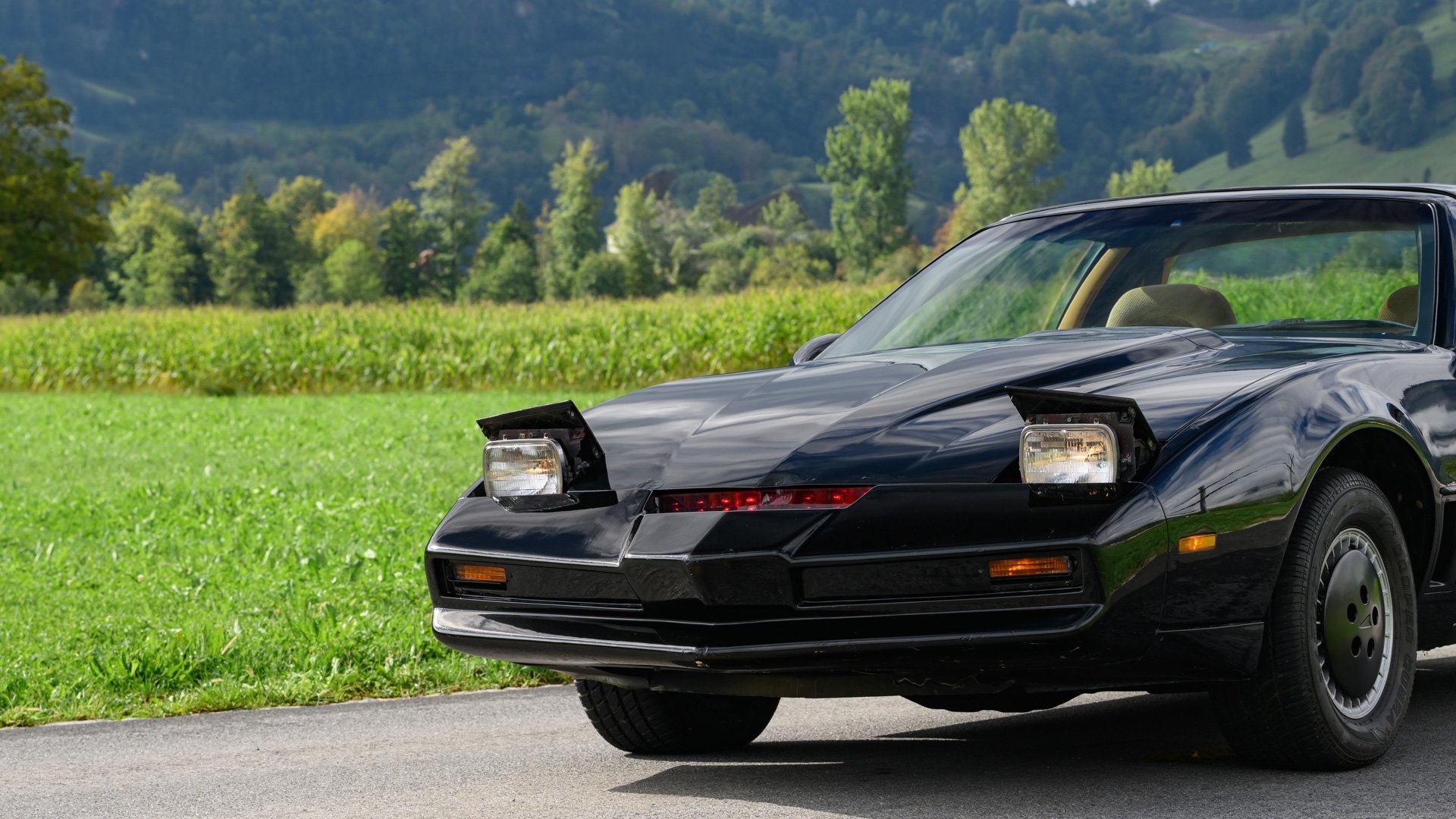 1982 Pontiac Firebird, foto 12