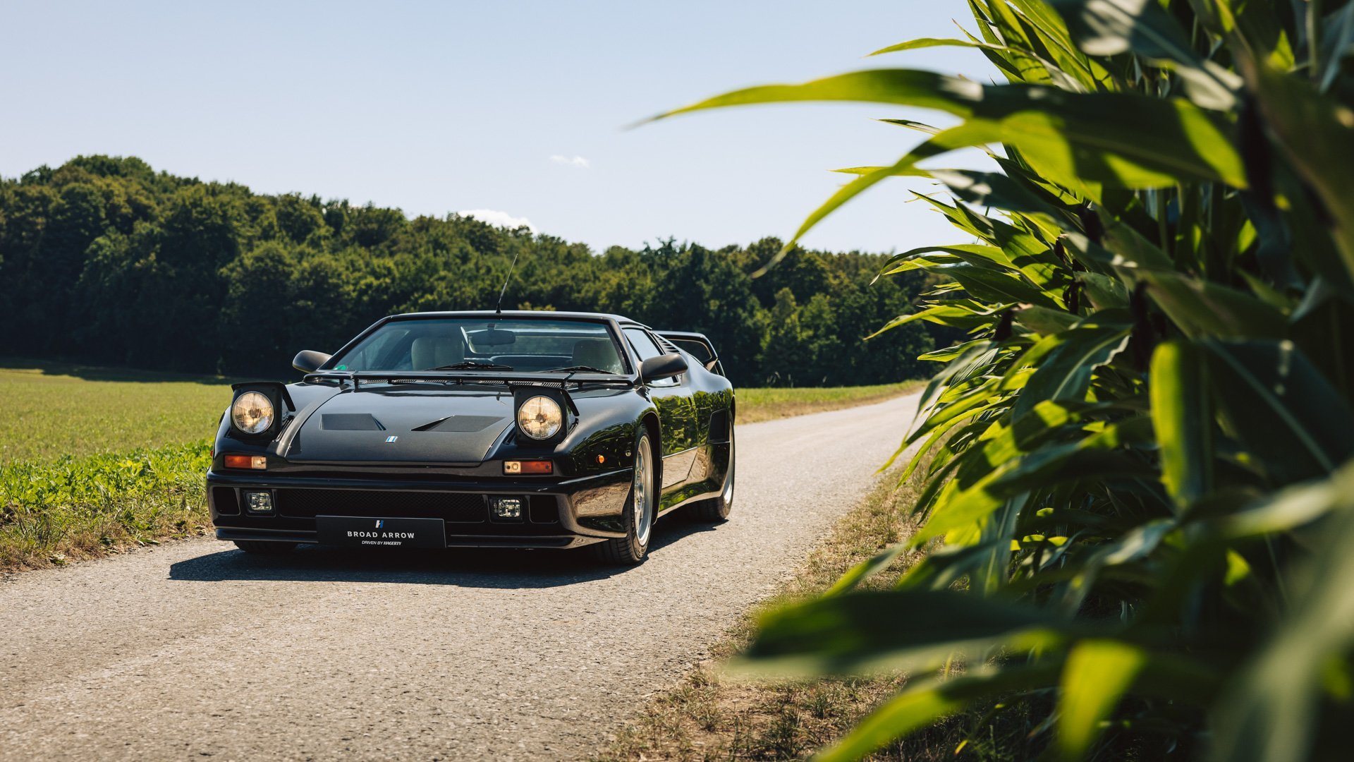 1991 De Tomaso Pantera, foto 7