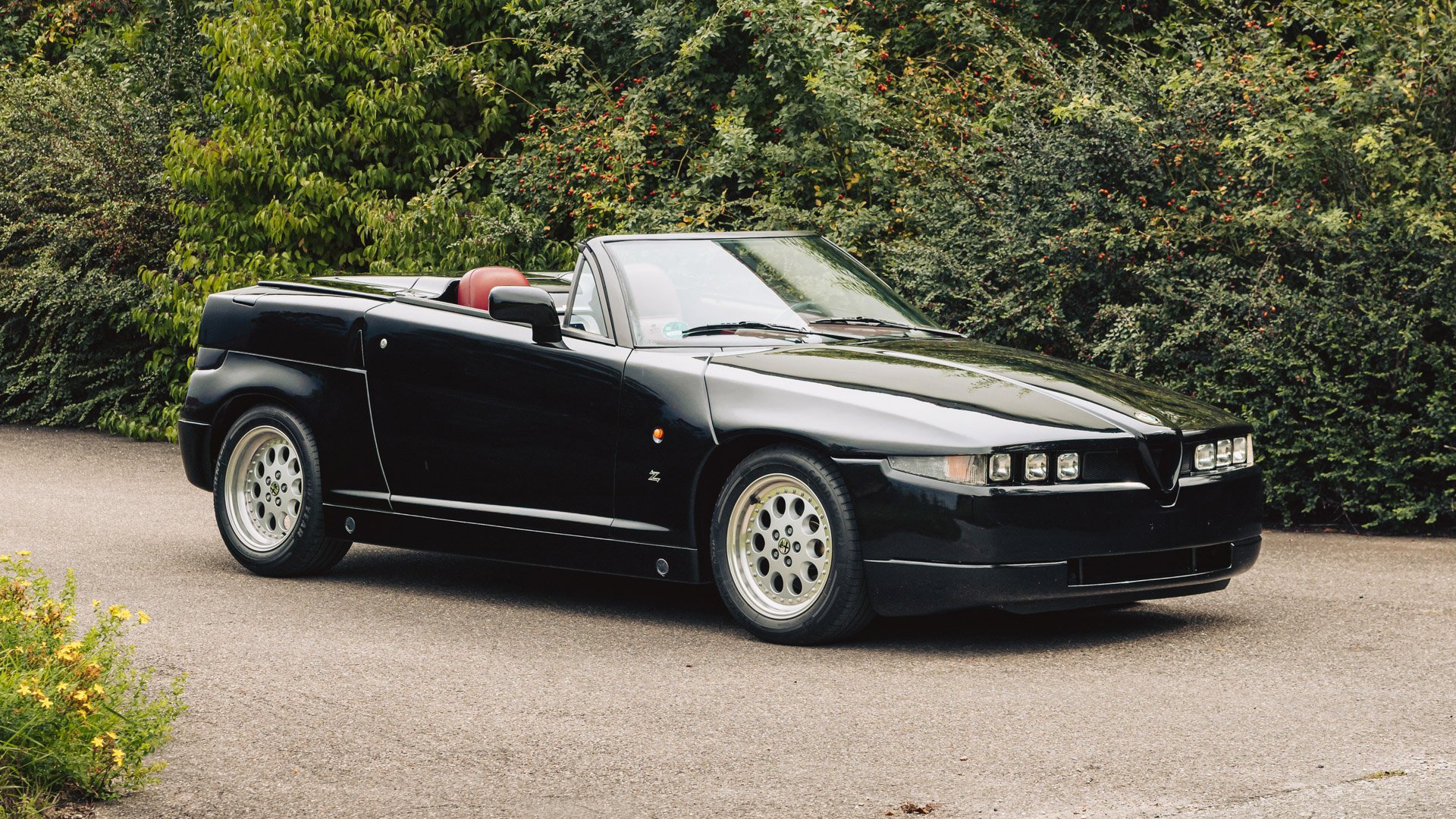 1996 Alfa Romeo RZ, foto 11