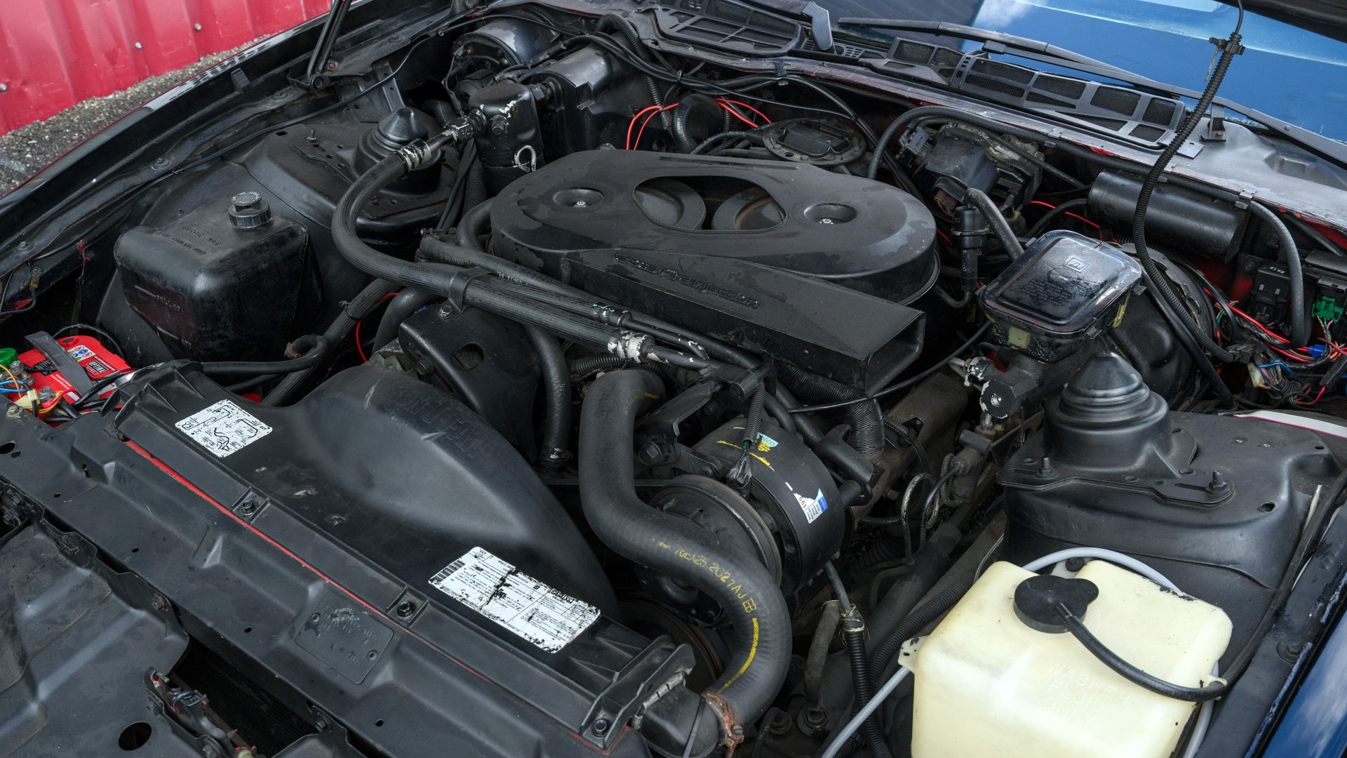 1982 Pontiac Firebird, foto 7