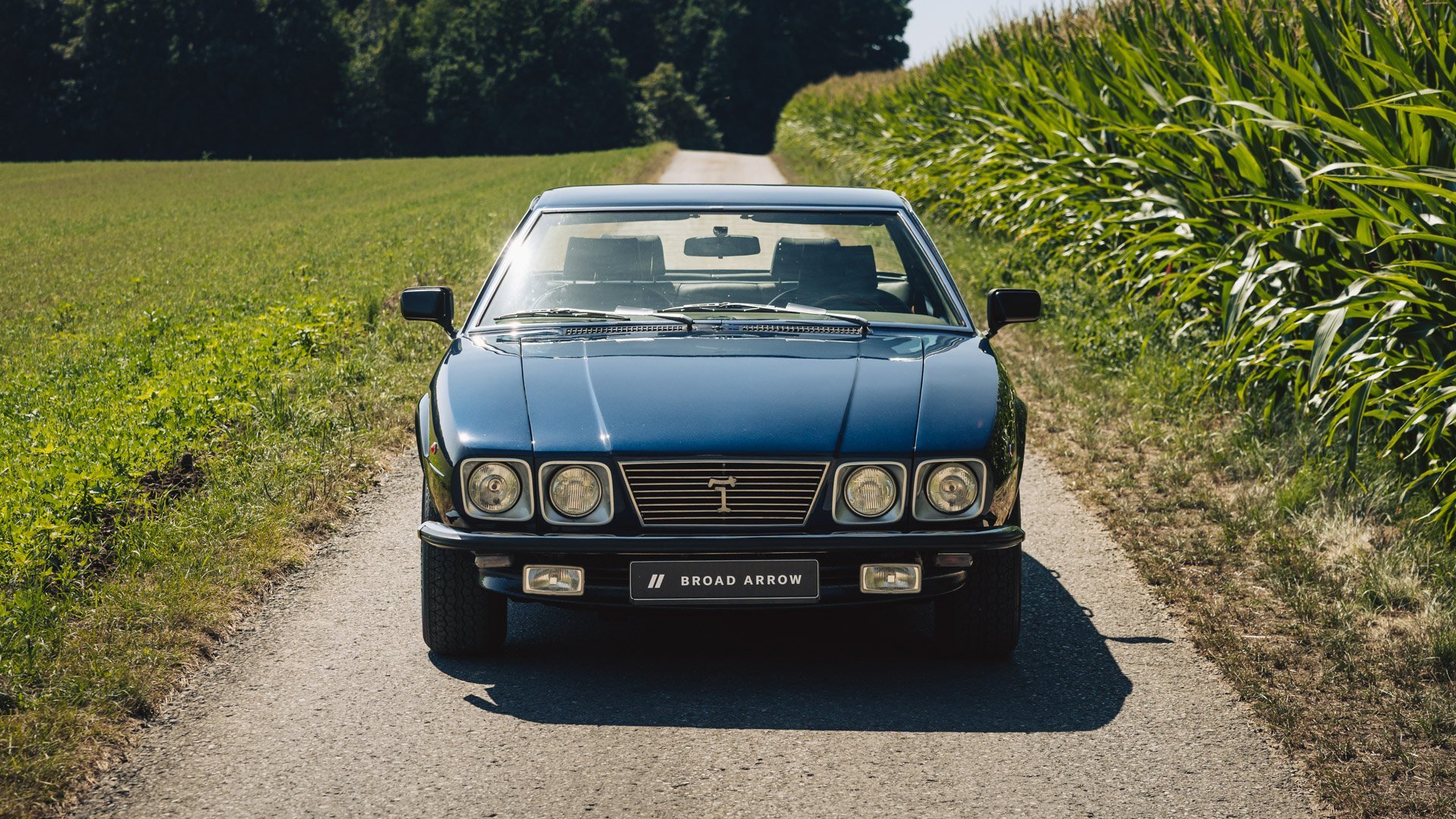 1980 De Tomaso Deauville, foto 12