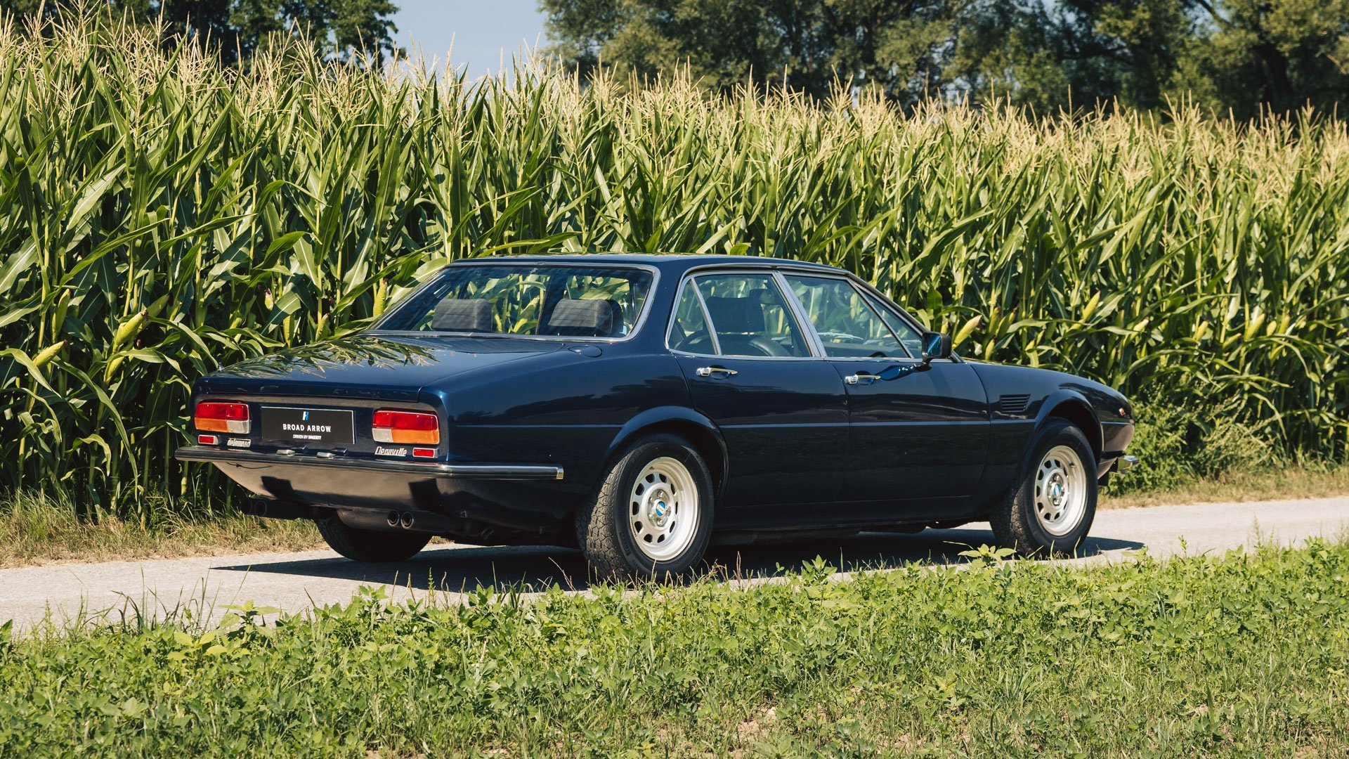 1980 De Tomaso Deauville, foto 3