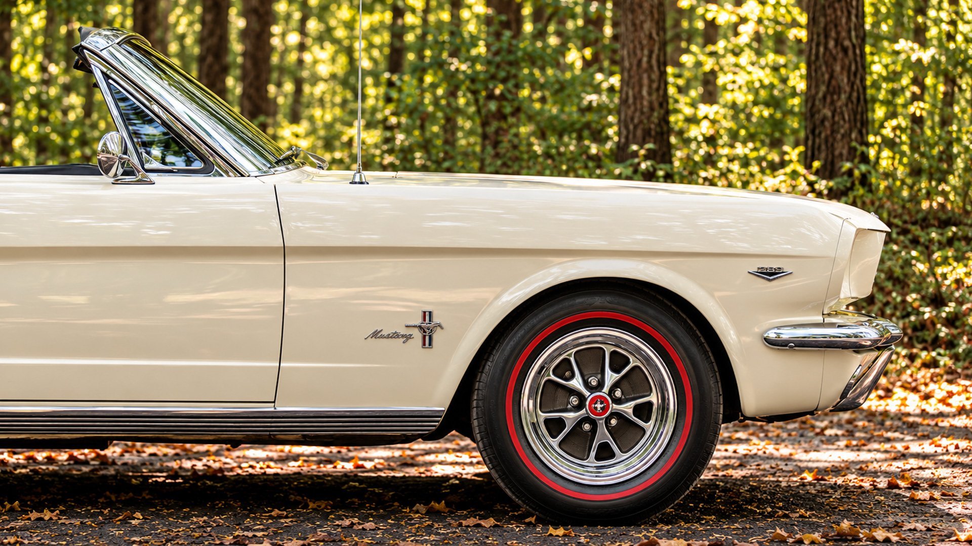 1965 Ford Mustang, foto 10