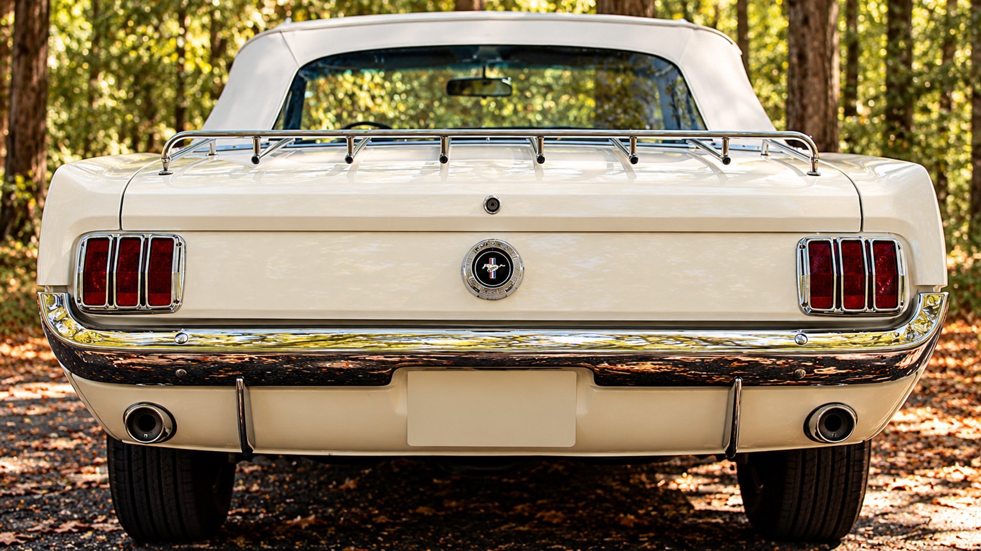 1965 Ford Mustang, foto 12