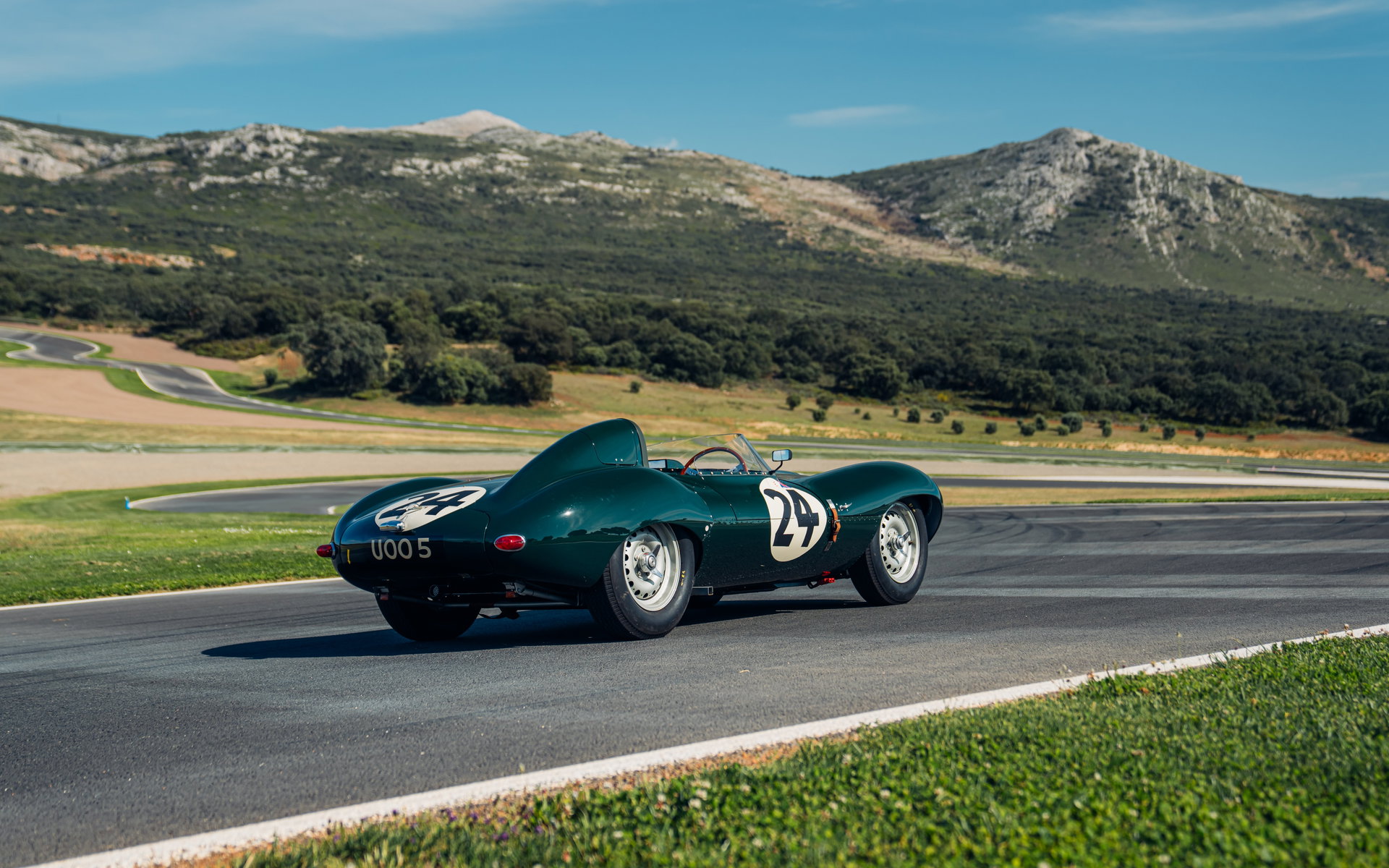 1955 Jaguar D-Type - Short nose, foto 2