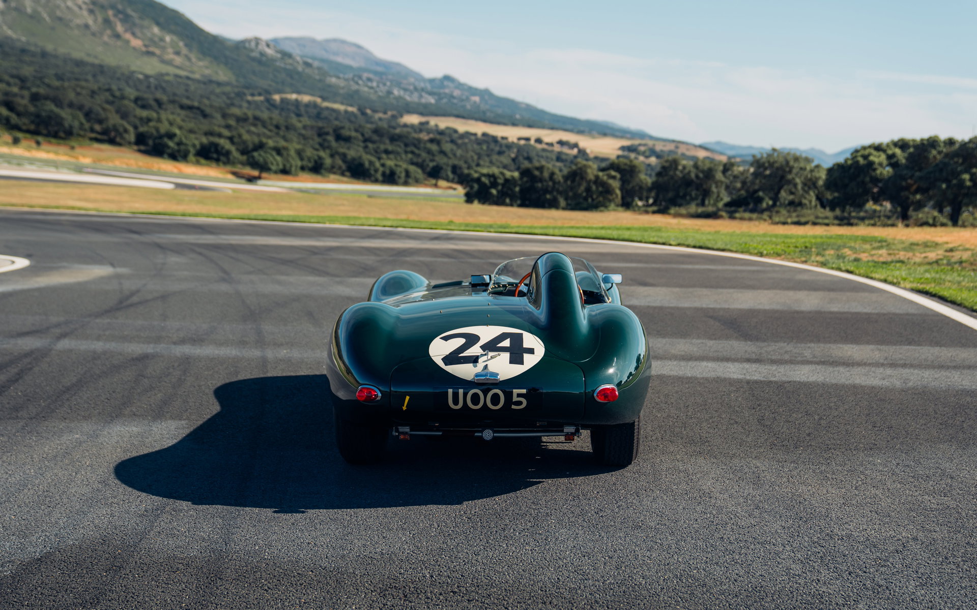 1955 Jaguar D-Type - Short nose, foto 3