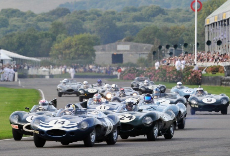 1955 Jaguar D-Type - Short nose, foto 5