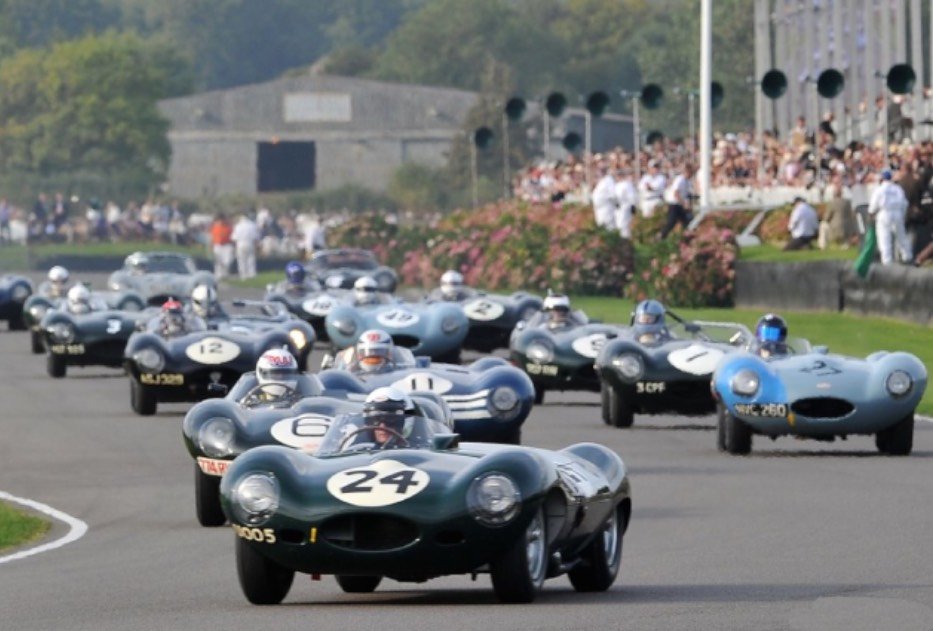 1955 Jaguar D-Type - Short nose, foto 7