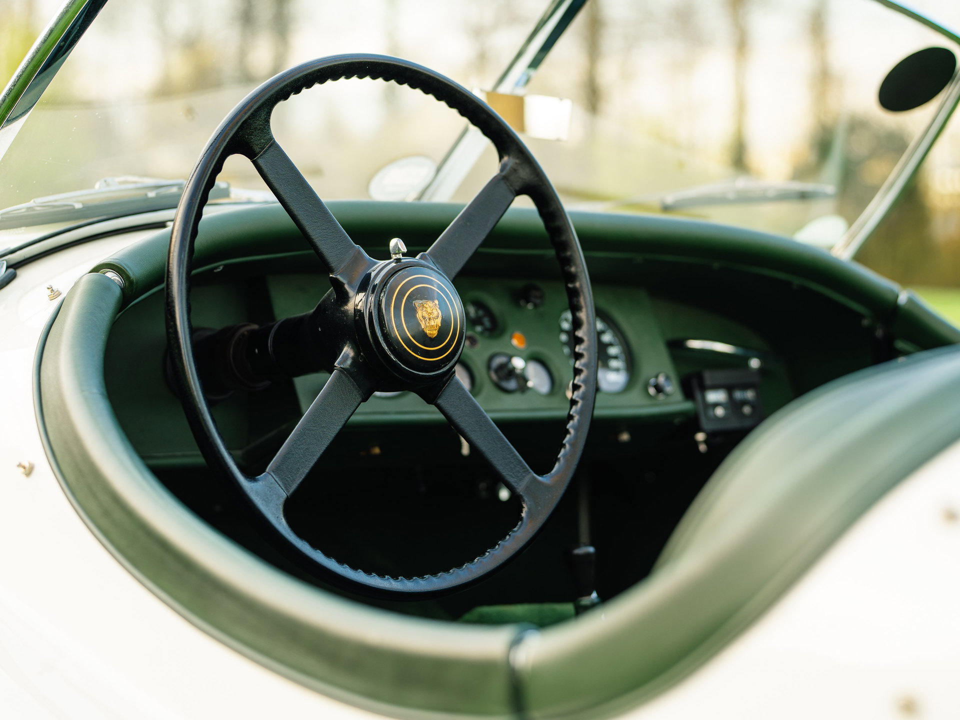 1954 Jaguar XK 120 - Roadster, foto 8