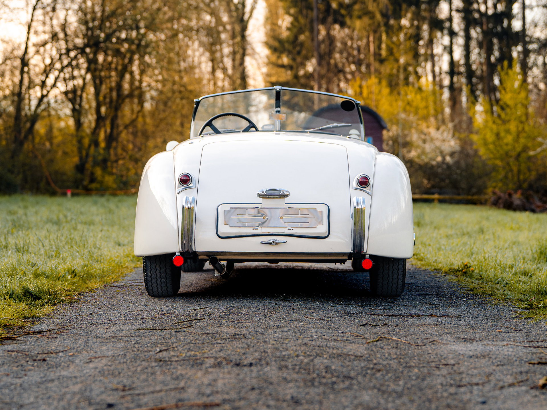 1954 Jaguar XK 120 - Roadster, foto 6