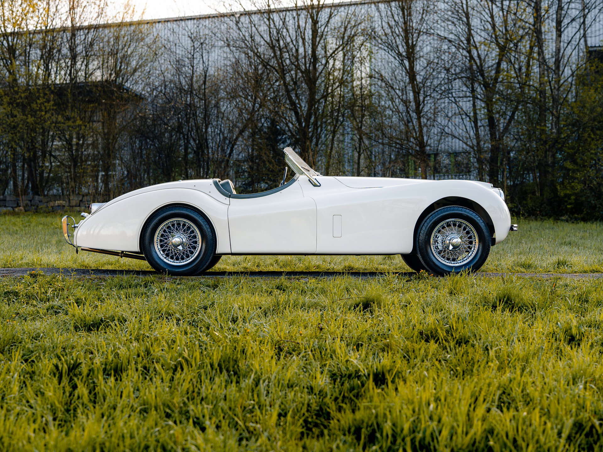 1954 Jaguar XK 120 - Roadster, foto 2