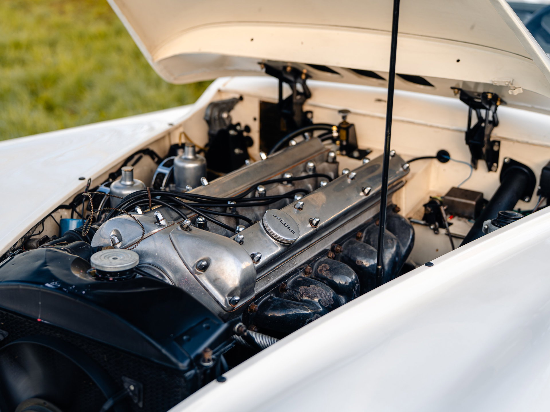 1954 Jaguar XK 120 - Roadster, foto 7