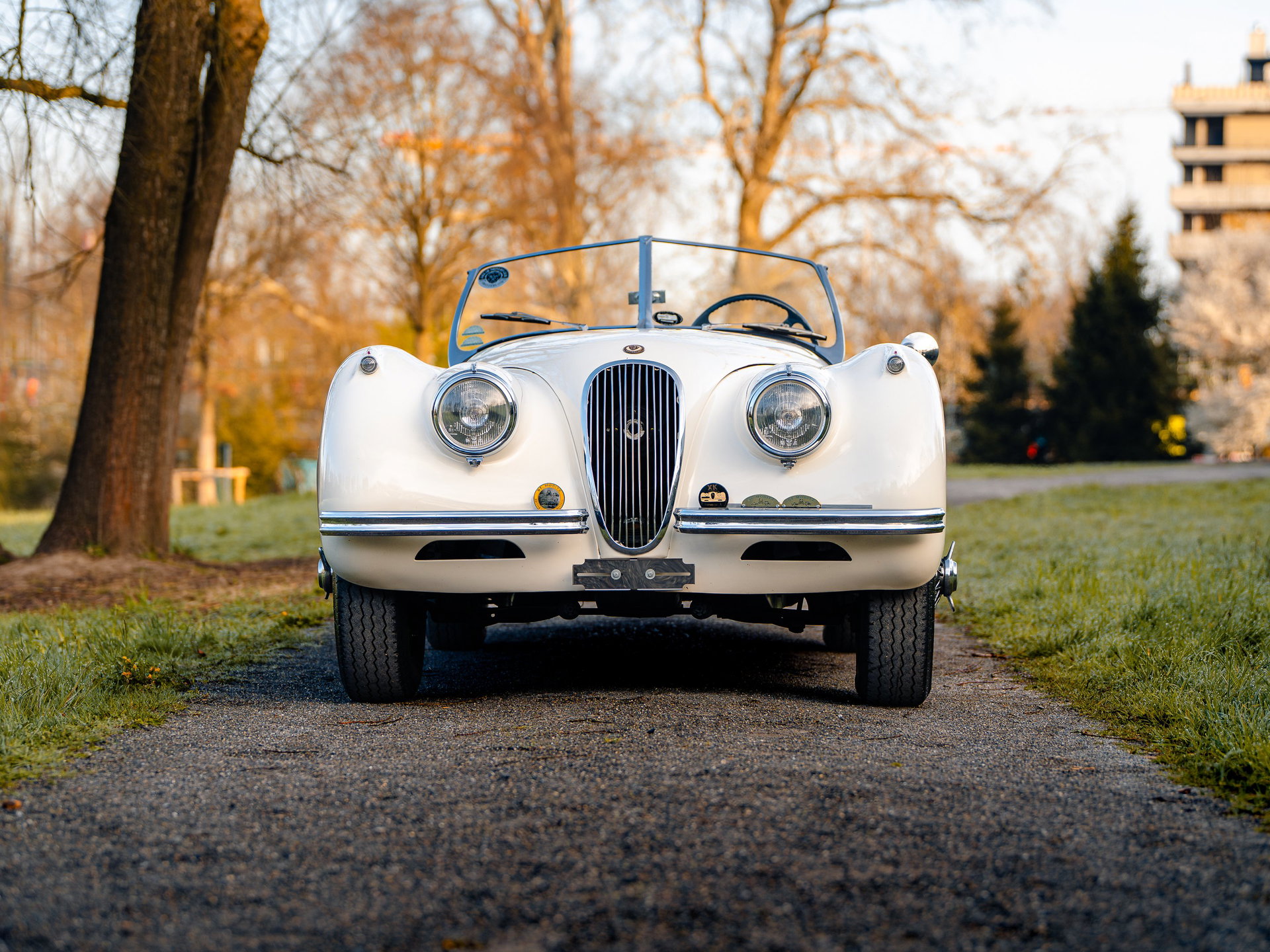 1954 Jaguar XK 120 - Roadster, foto 5