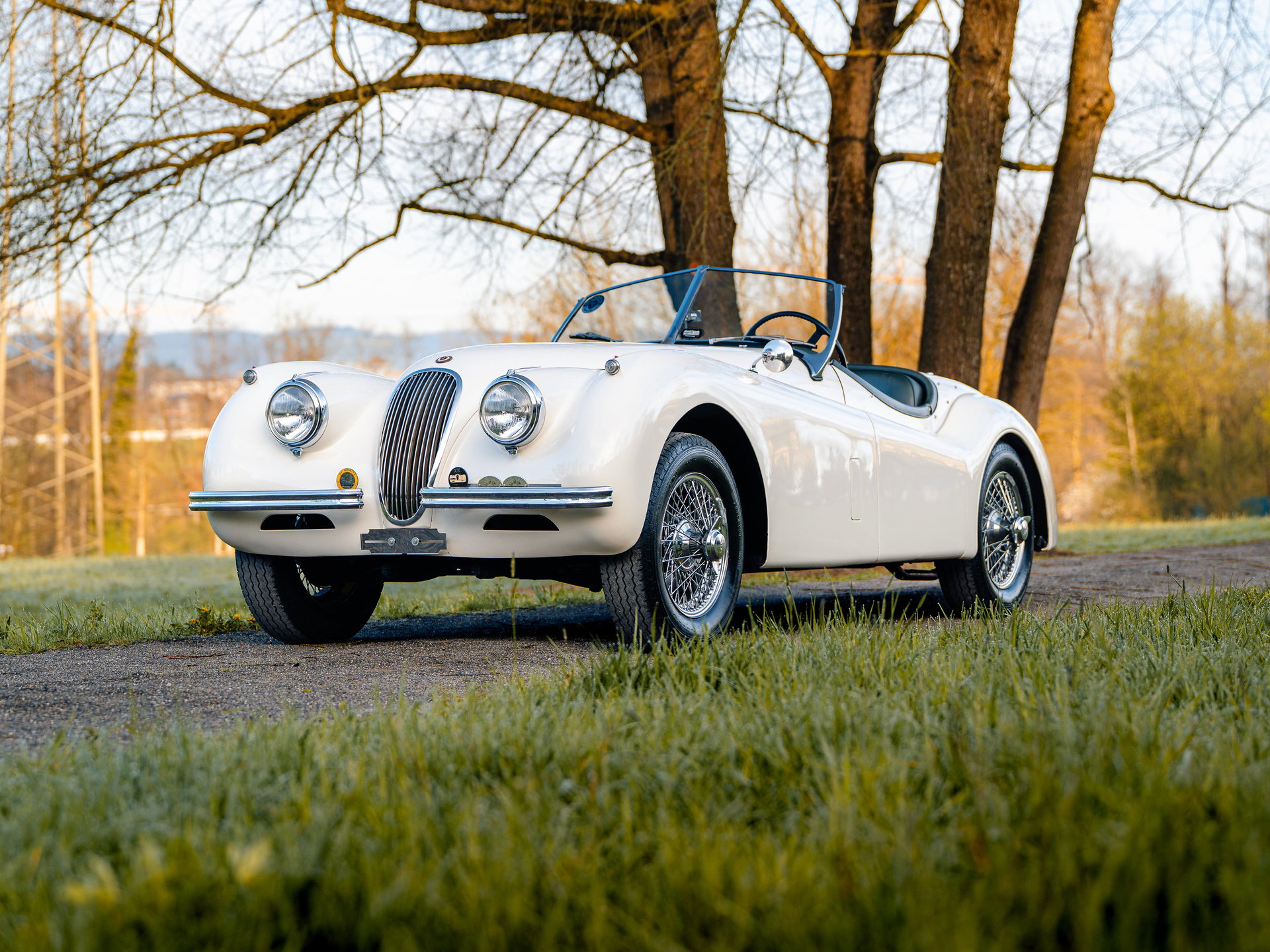1954 Jaguar XK 120 - Roadster, foto 1