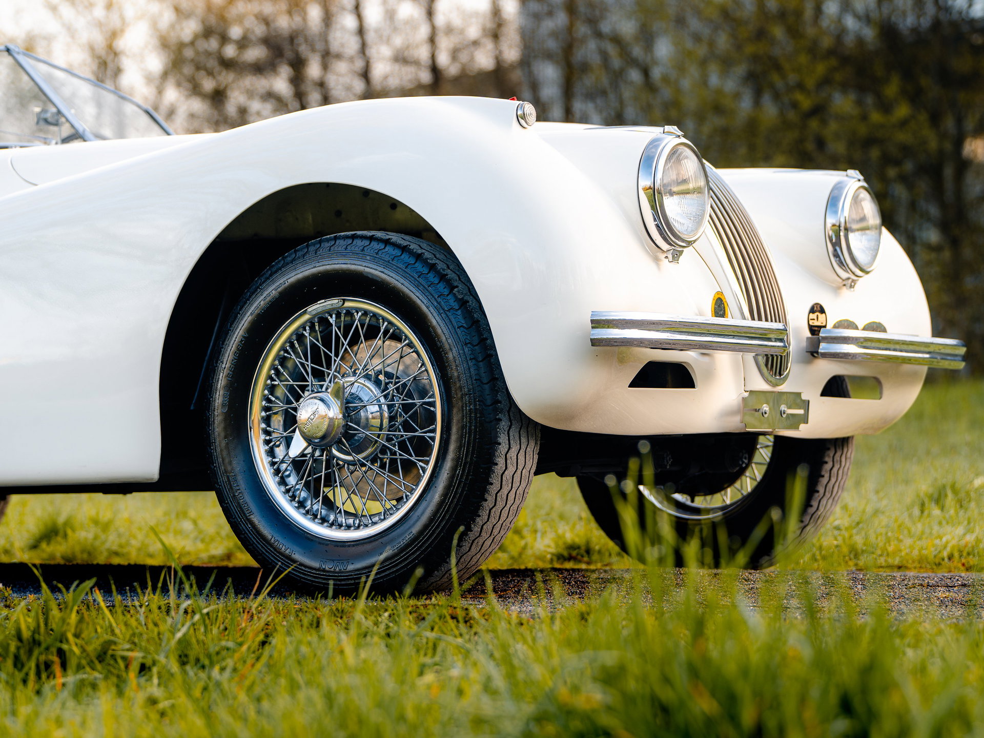1954 Jaguar XK 120 - Roadster, foto 3