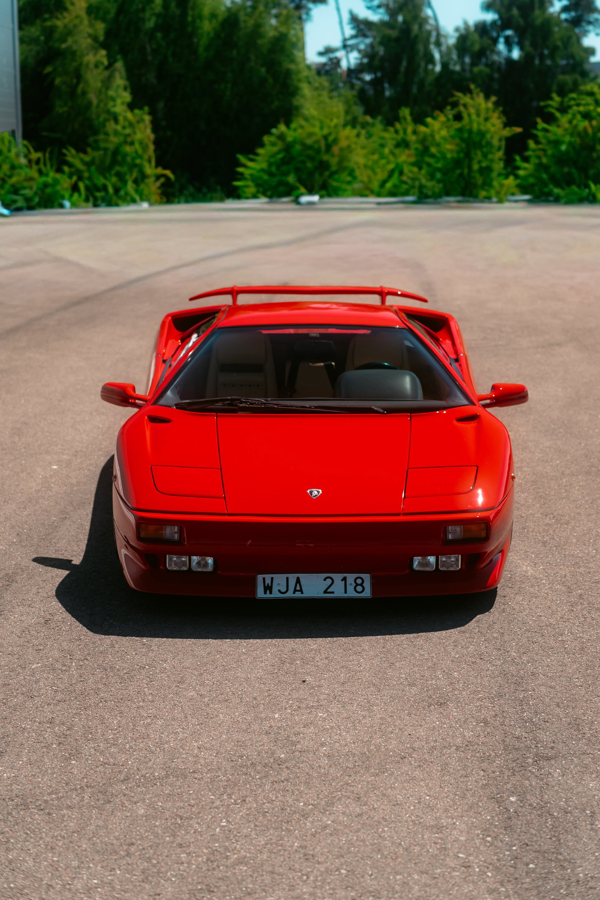 1991 Lamborghini Diablo - Prima Series, €45,000 Engine rebuild, foto 10