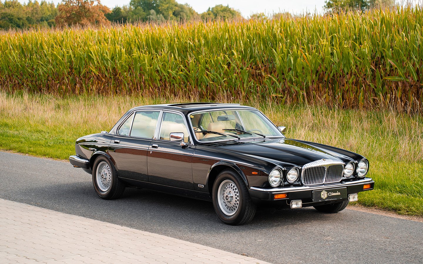 1992 Daimler Double Six, foto 2
