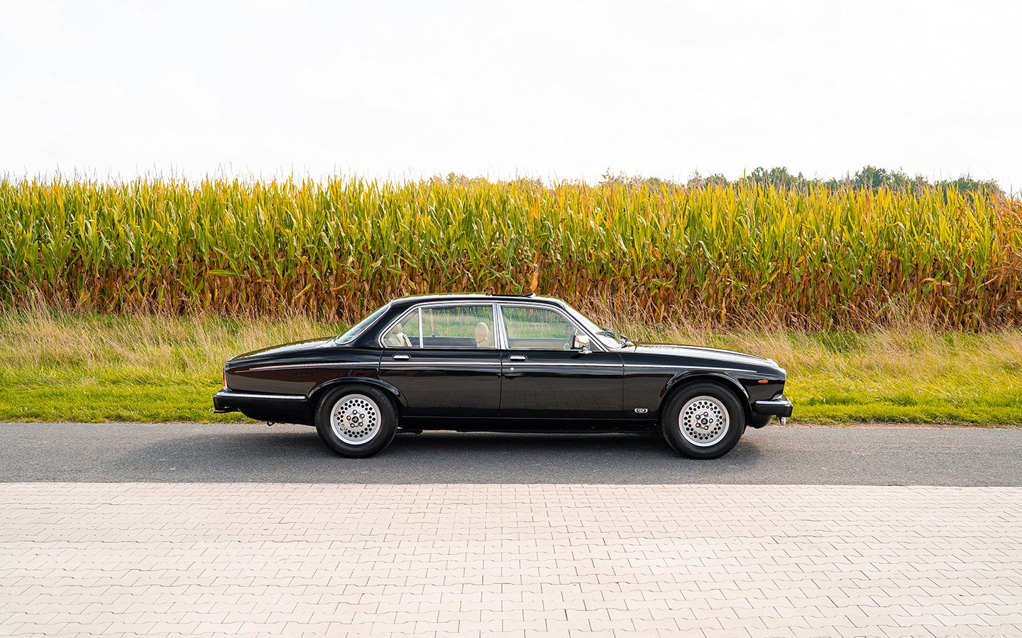 1992 Daimler Double Six, foto 3