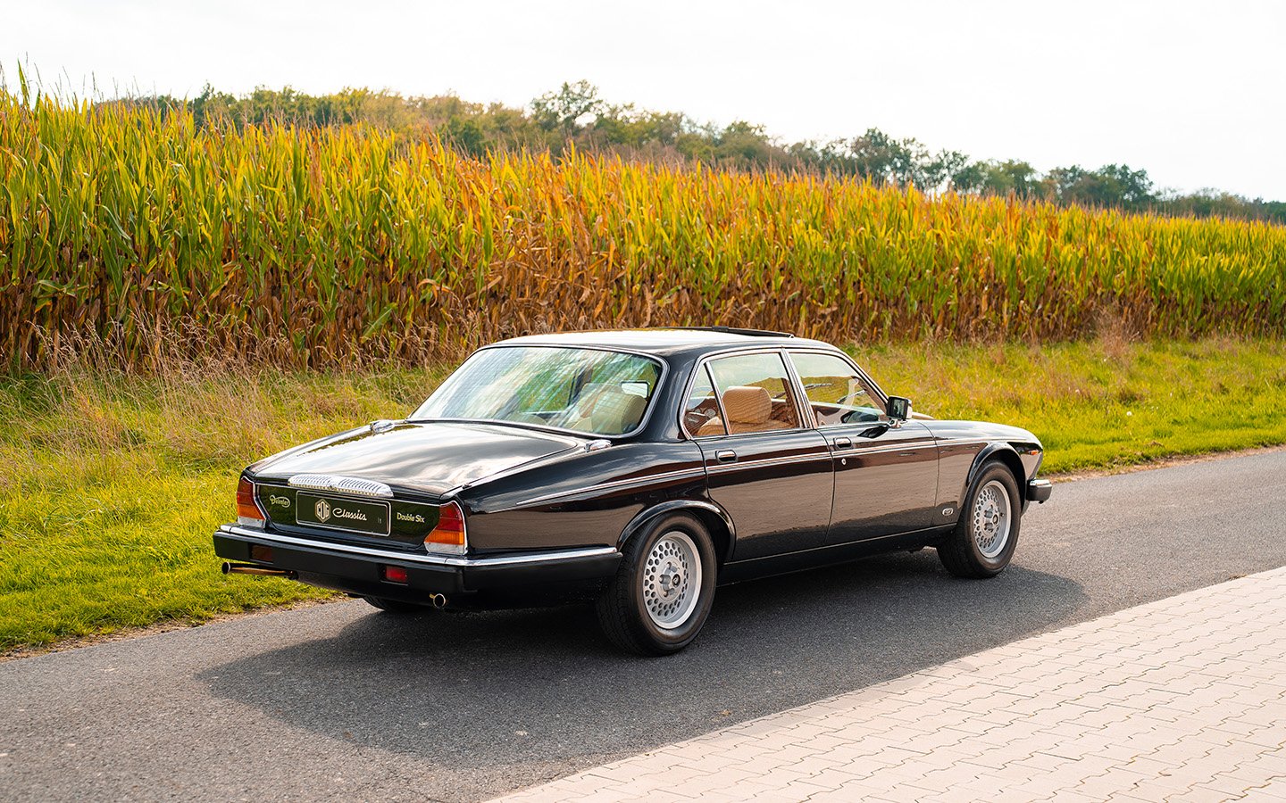 1992 Daimler Double Six, foto 4