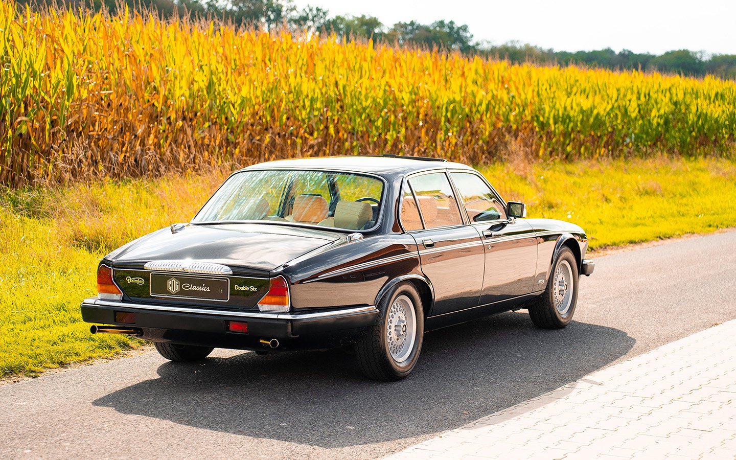 1992 Daimler Double Six, foto 6