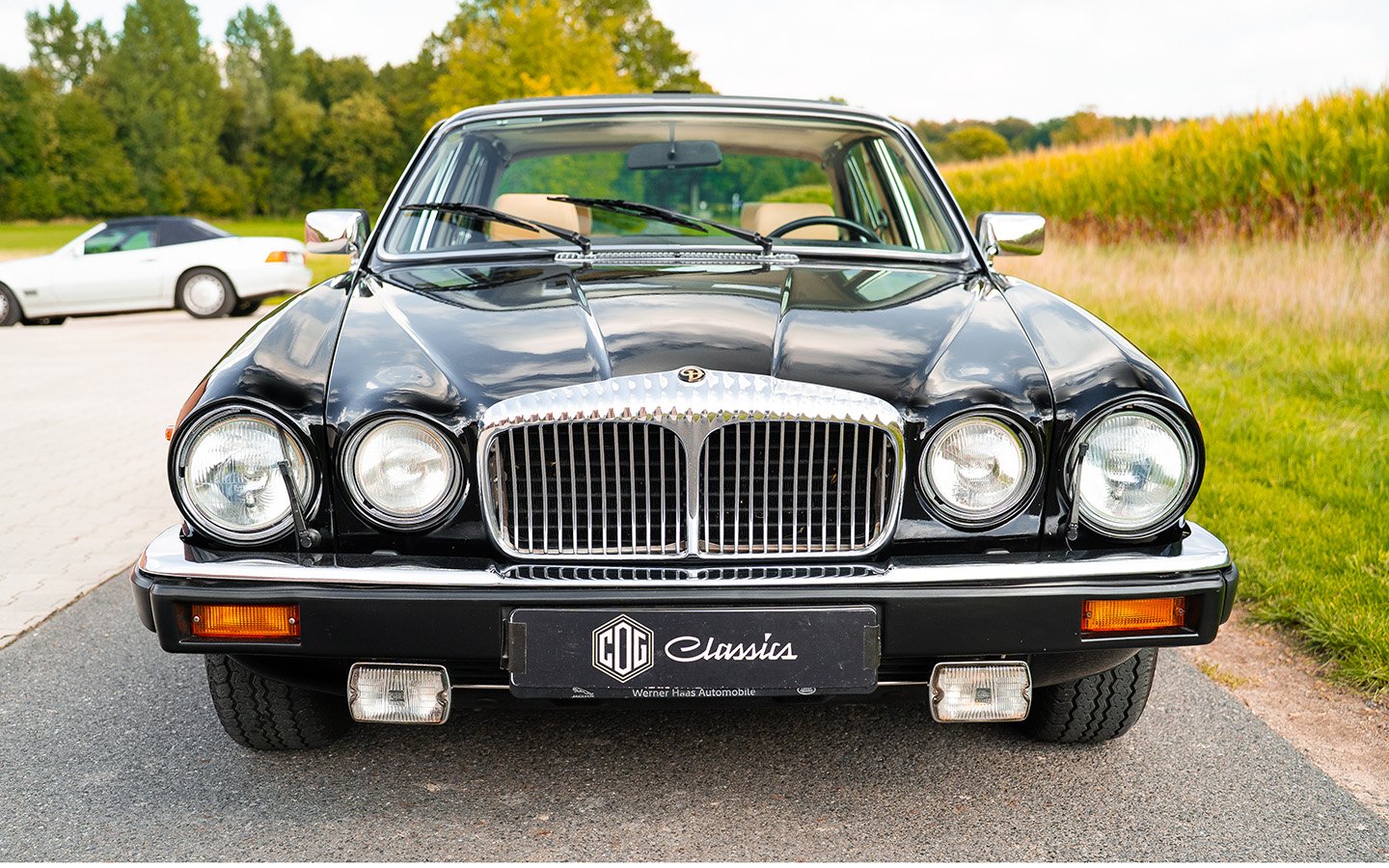 1992 Daimler Double Six, foto 7