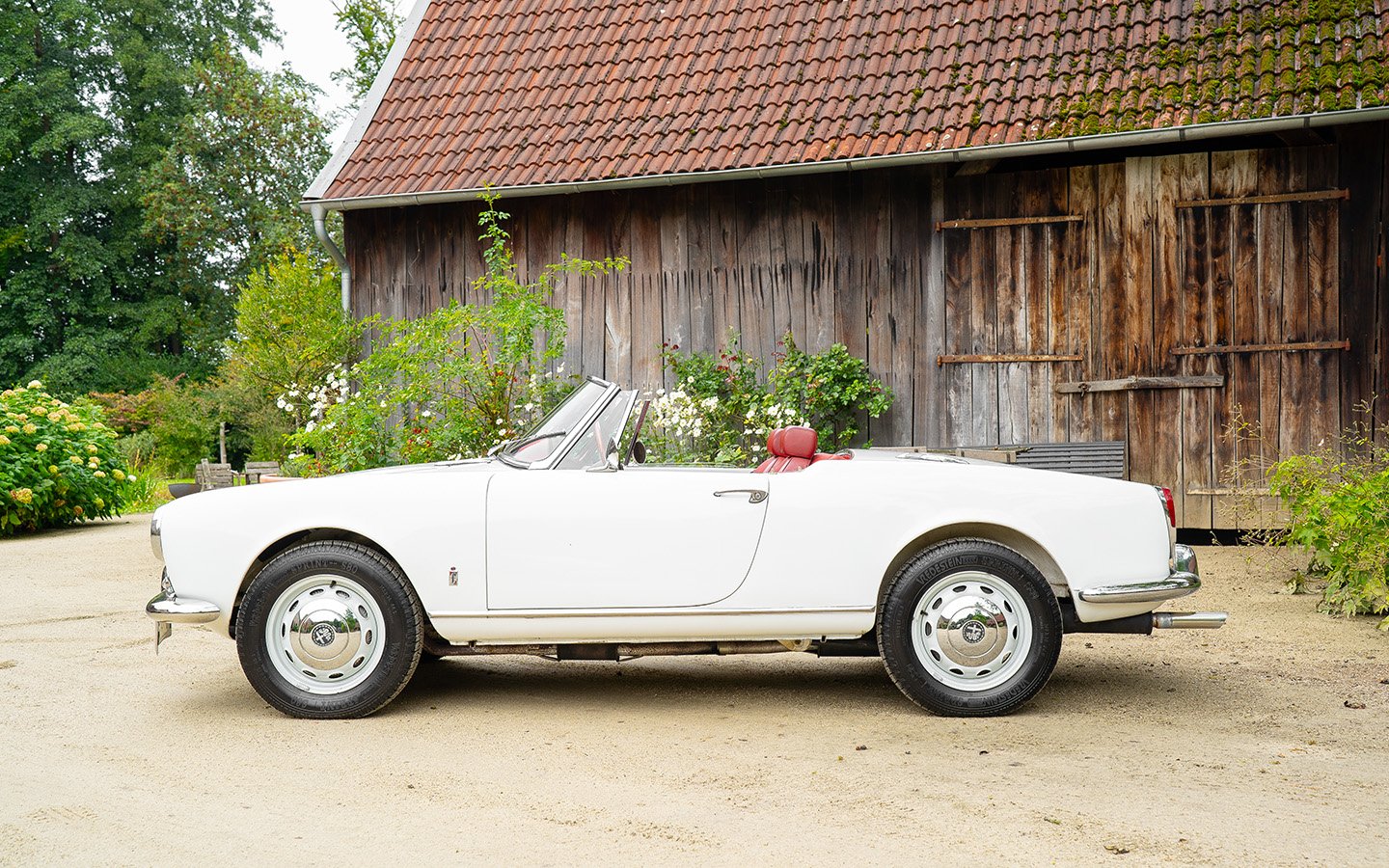 1964 Alfa Romeo Giulia - Giulia Spider 1600, foto 5