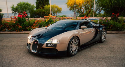 2008 Bugatti Veyron - 16.4 - 2 Years Peace Passport 223804-1025791-car-20240911_182618-bugattiveyronbleubeige-19.jpg