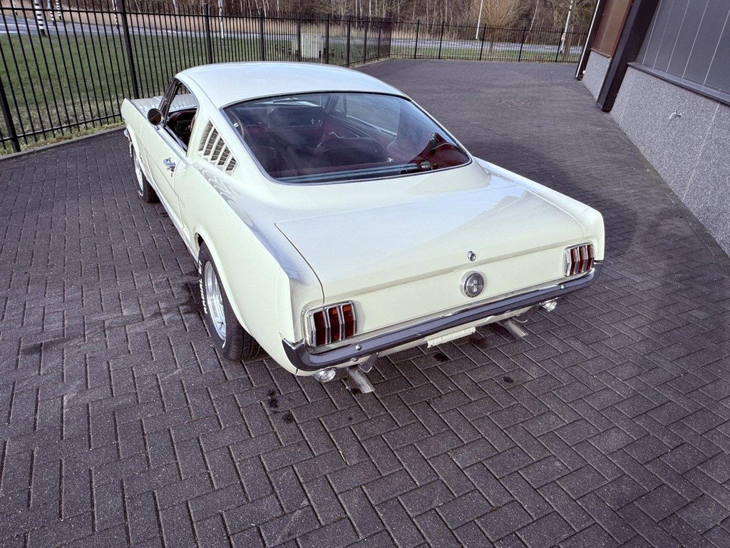 1966 Ford Mustang - Fastback, foto 2