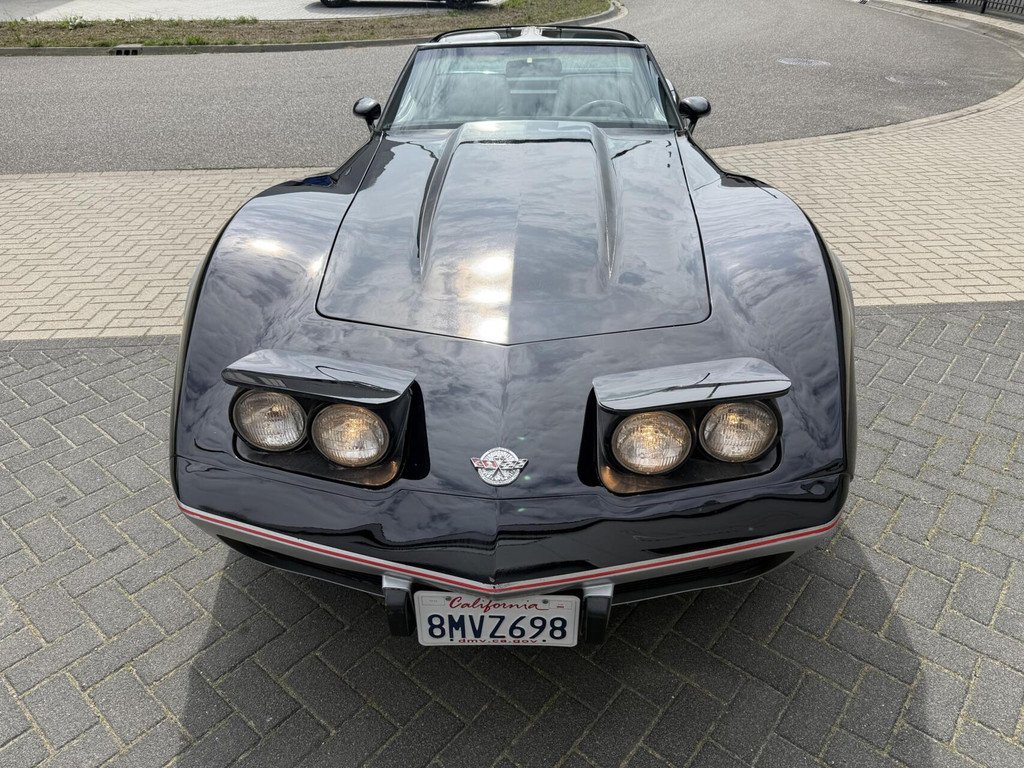 1978 Chevrolet Corvette - C3 Anniversary Edition, foto 11
