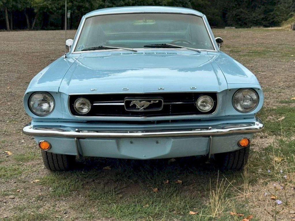 1966 Ford Mustang - Fastback, foto 9