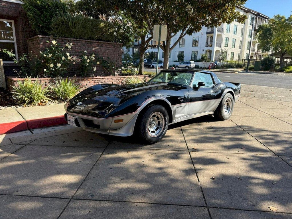 1978 Chevrolet Corvette - C3 Anniversary Edition, foto 12