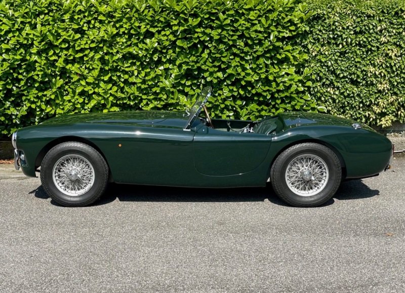 1955 AC Roadster - ACE, foto 3