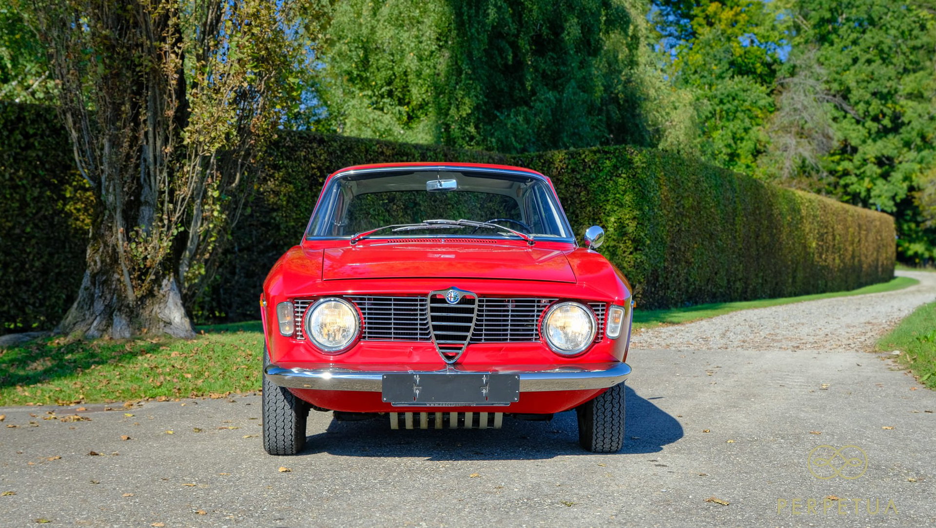 1965 Alfa Romeo 1600 - Giulia Sprint GT, foto 3