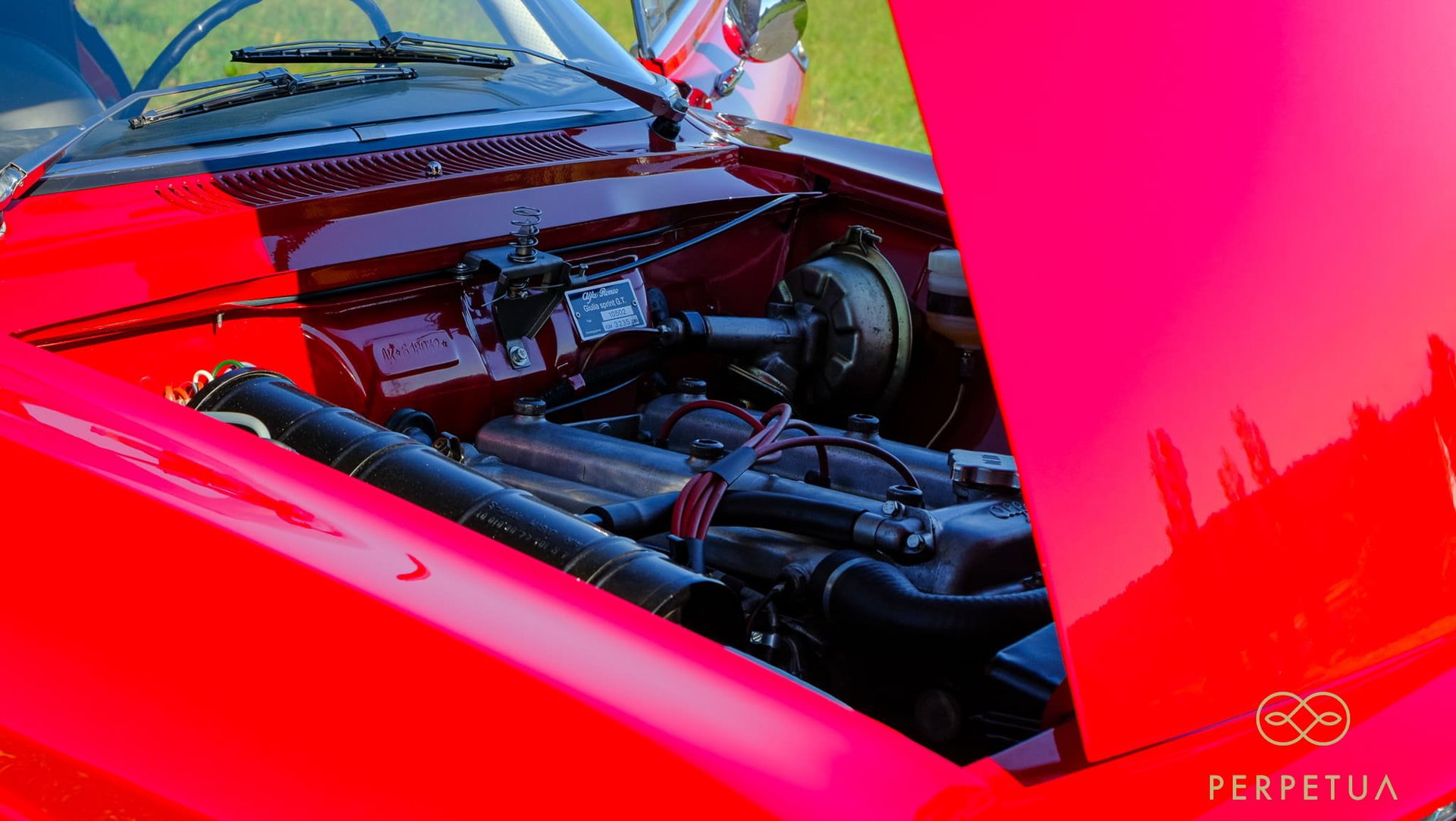 1965 Alfa Romeo 1600 - Giulia Sprint GT, foto 10
