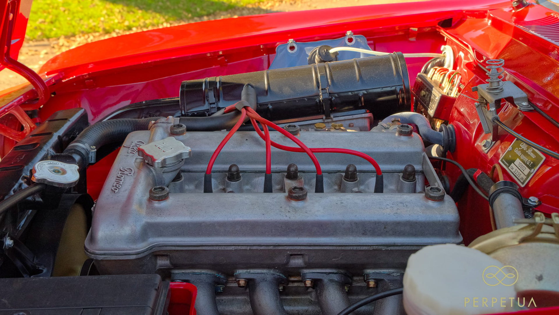 1965 Alfa Romeo 1600 - Giulia Sprint GT, foto 11