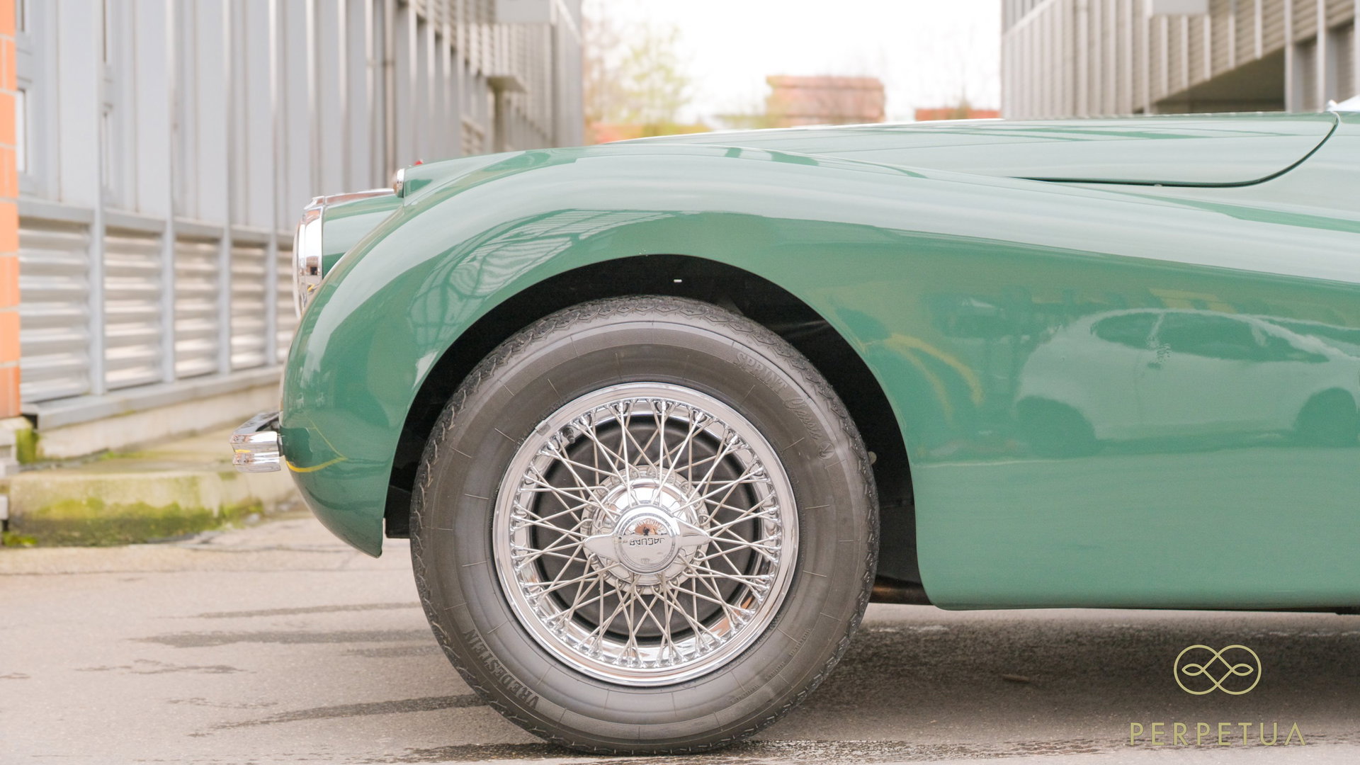 1954 Jaguar XK 120, foto 9