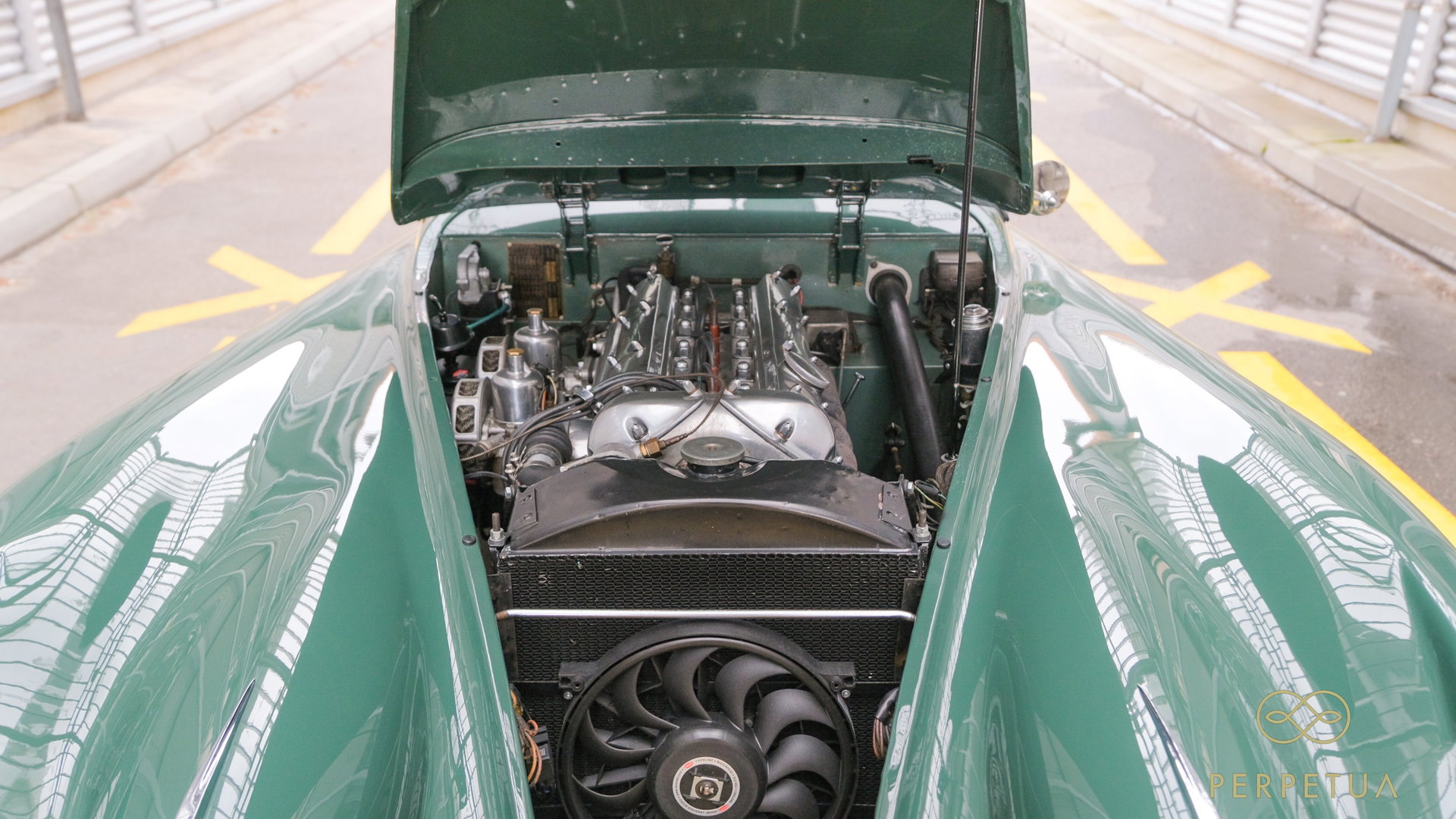1954 Jaguar XK 120, foto 10