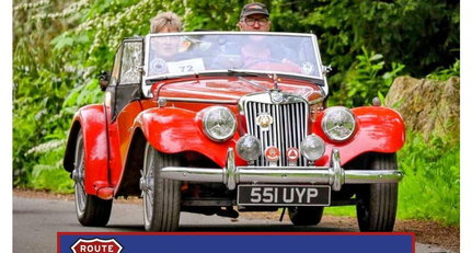 1954 MG TF - Midget | 1954 | Route 66 Auctions