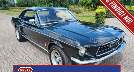 1967 Ford Mustang - | 1967 | Route 66 Auctions