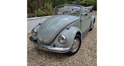 1969 VW Beetle - 1500 | 1969 | Route 66 Auctions