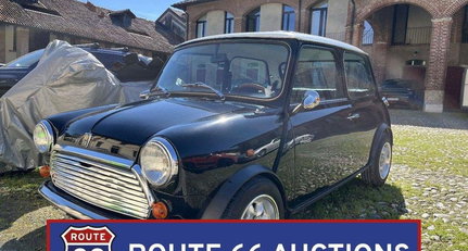 Rover Mini